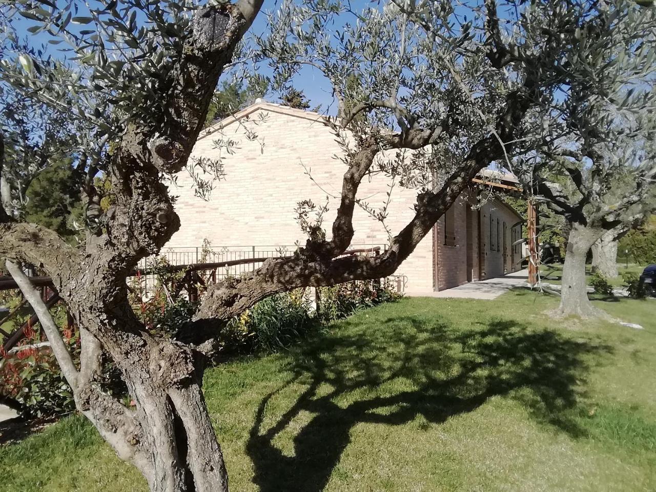 Il Roccolo Di Valcerasa Apartment Treia ภายนอก รูปภาพ